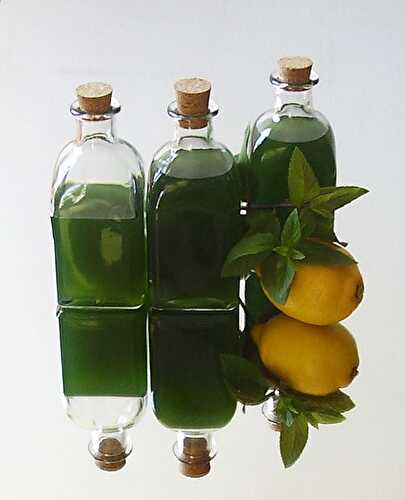 Mint Syrup Quick Version Recipe