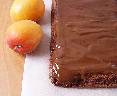 Double Chocolate Sacher Brownies