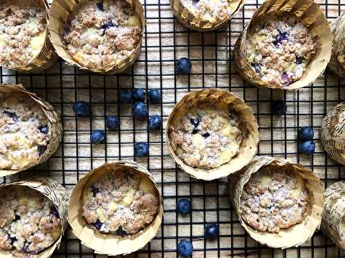 Gluten-free coconut flour blueberry muffins