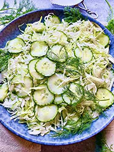 Wine vinegar cabbage slaw with cucumbers