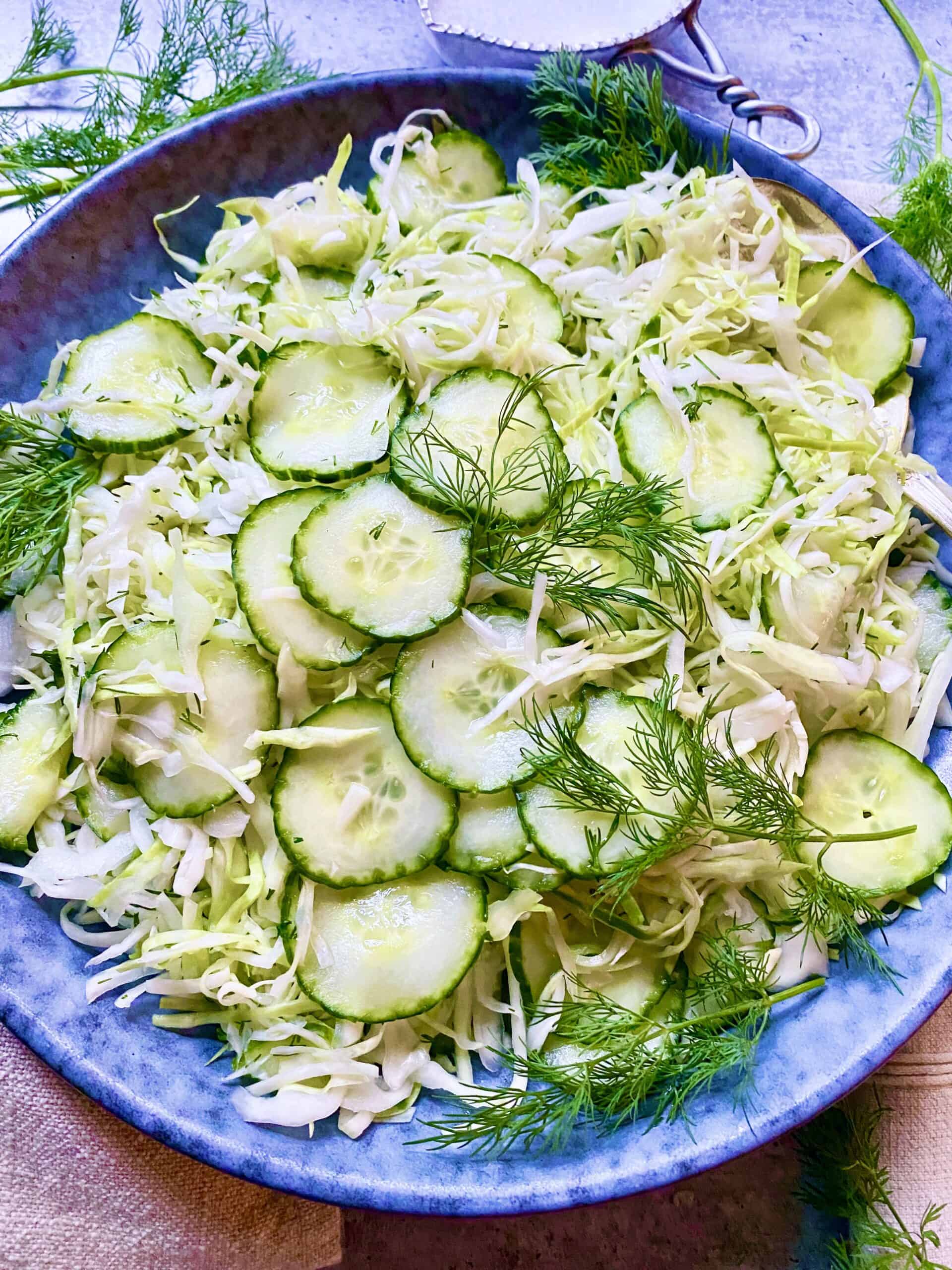 Wine Vinegar Cabbage Slaw with Cucumbers