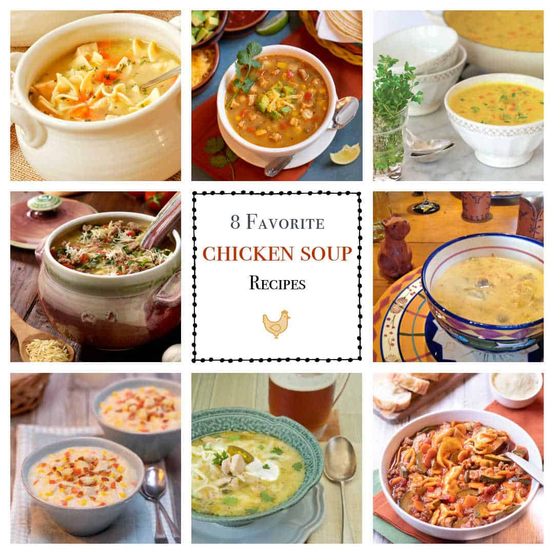 8 Favorite Chicken Soup Recipes | A Well-Seasoned Kitchen®