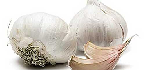 Garlic: To press or not to press? - A Well Seasoned Kitchen
