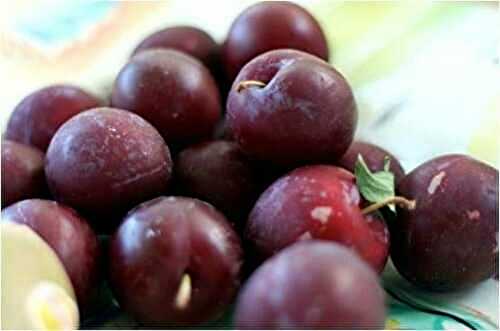 Get the particulars on plums - A Well Seasoned Kitchen