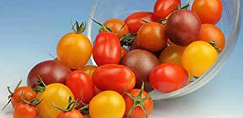 Get to know your tomatoes - A Well Seasoned Kitchen