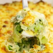 Leek Gratin Recipe
