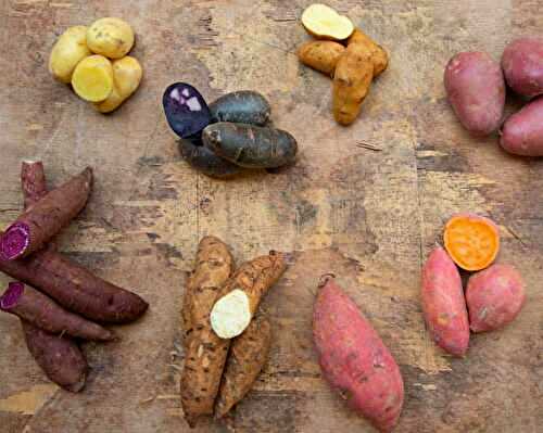 Sweet Potato vs Yams - A Well Seasoned Kitchen