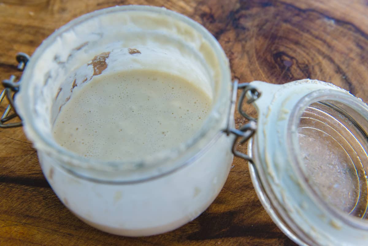 The Saga of the Sourdough Starter - A Well Seasoned Kitchen