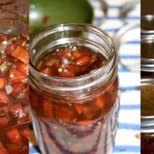 Tomato Bruschetta Topping Recipe
