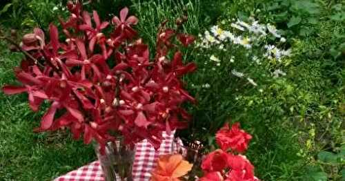 Playing in our little haven 