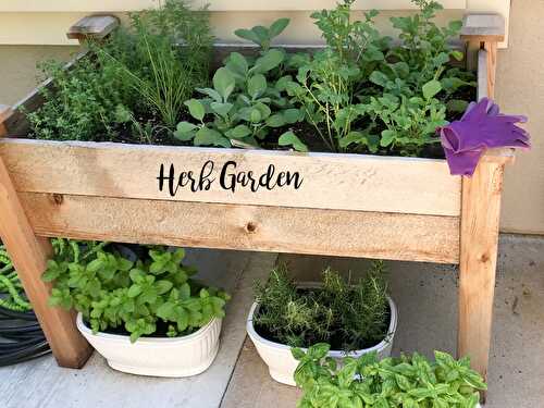 Herb Garden - Artzy Foodie