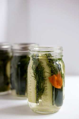 Spicy Dill Pickles