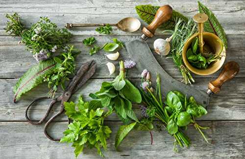 4 Essential Fresh Herbs You Should Use Recipe – Awesome Cuisine