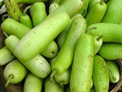 All about Bottle Gourd