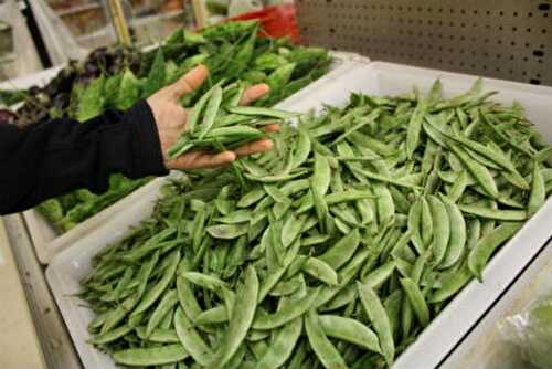 Andhra Patoli Recipe – Awesome Cuisine