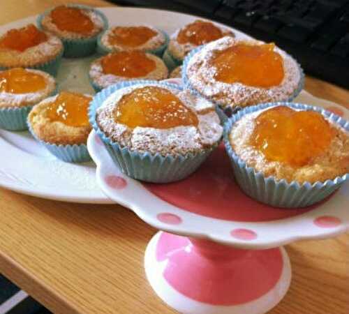 Apricot Swiss Cakes Recipe – Awesome Cuisine