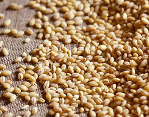 Barley and Moong Dal Payasam Recipe – Awesome Cuisine