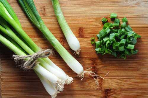 Capsicum Spring Onion Chutney Recipe – Awesome Cuisine