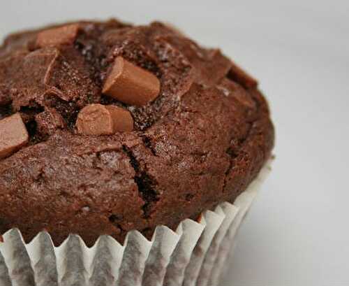 Chocolate Chip Muffins Recipe – Awesome Cuisine