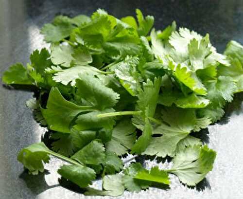 Coconut and Coriander Chutney Recipe – Awesome Cuisine