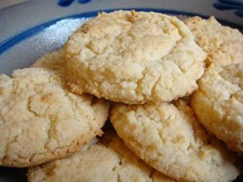 Coconut Cookies Recipe – Awesome Cuisine