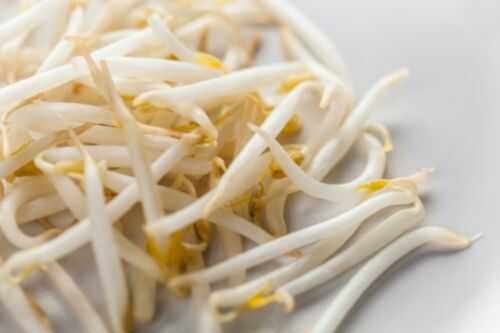Creamy Bean Sprouts Recipe – Awesome Cuisine