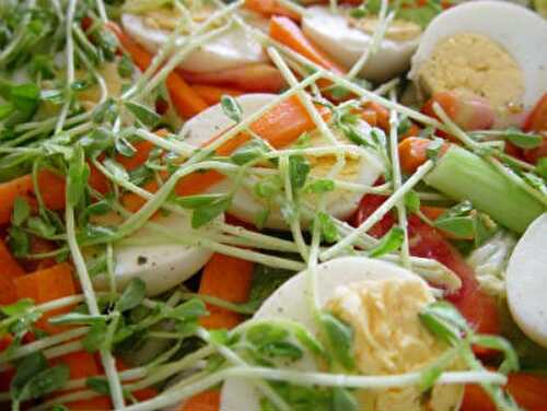 Egg Salad Recipe – Awesome Cuisine