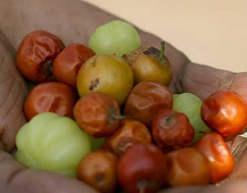 Elantha Pazham Payasam Recipe – Awesome Cuisine