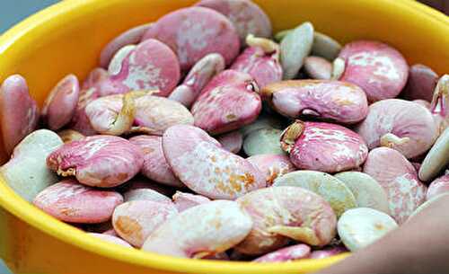 Elephant Yam Double Beans Kuzhambu Recipe – Awesome Cuisine