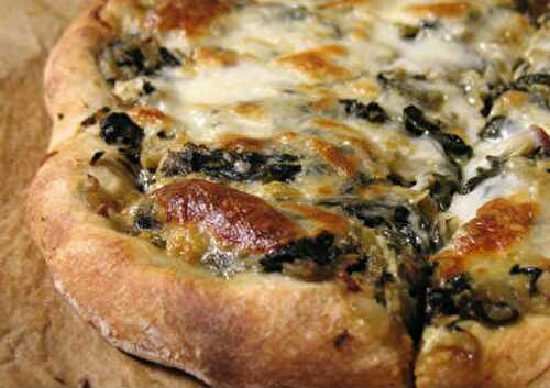 Garlic and Onion Pizza Recipe – Awesome Cuisine