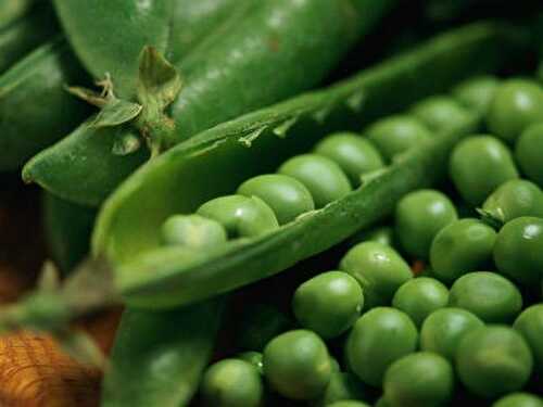 Green Peas Kheer Recipe – Awesome Cuisine