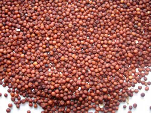 Health Benefits of Ragi
