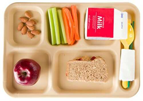 Kids School Lunch Ideas