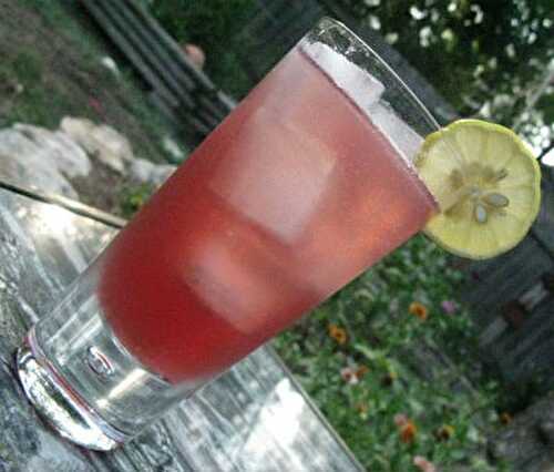Mexican Fizz Recipe – Awesome Cuisine
