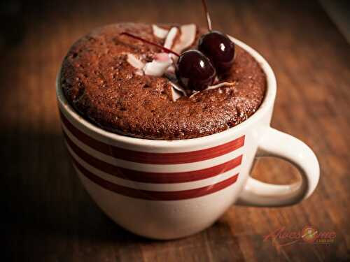 Microwave Chocolate Mug Cake Recipe
