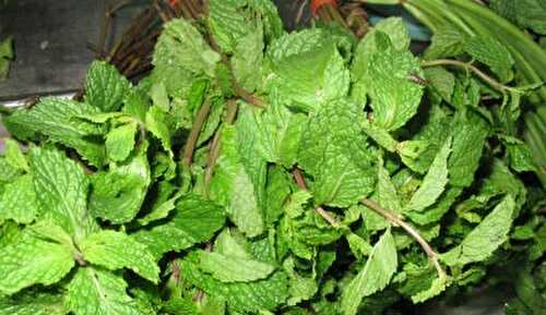 Mint and Coriander Sundal Recipe – Awesome Cuisine