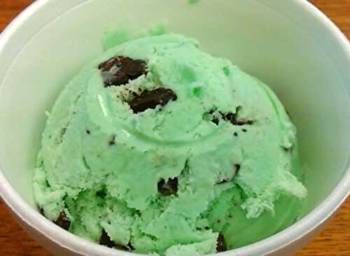 Mint Chocolate Chip Ice Cream Recipe – Awesome Cuisine