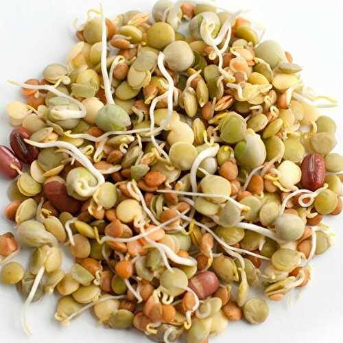 Mixed Sprouts Usal Recipe – Awesome Cuisine