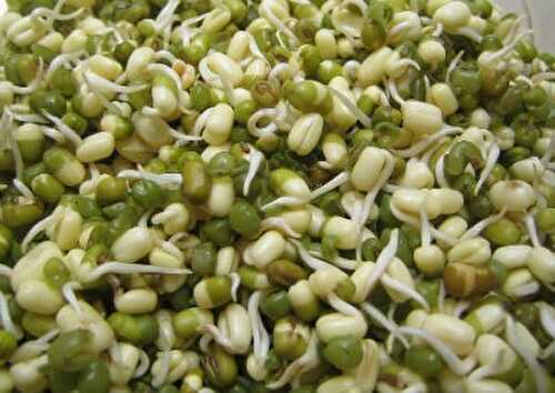 Mulai Payaru (Sprouted Green Gram) Rice Recipe – Awesome Cuisine