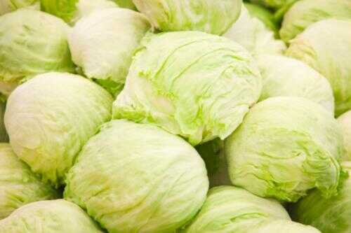 முட்டைகோஸ் தொகையல் - Cabbage Thogaiyal Recipe in Tamil