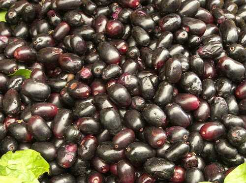Nutritional Value of Jamun