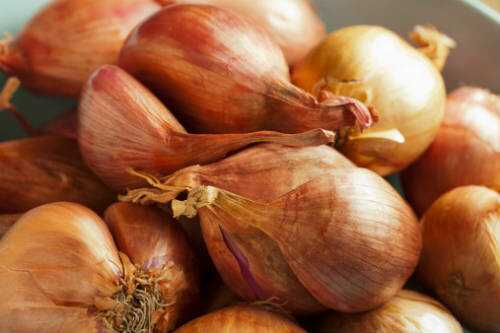 Onion Thuvaiyal Recipe – Awesome Cuisine