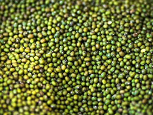 Pachai Payaru (Green Gram) Rice Recipe – Awesome Cuisine