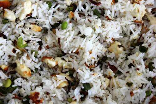 Paneer Fried Rice Recipe – Awesome Cuisine