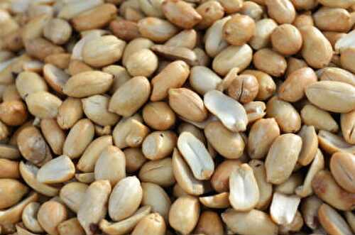 Peanut Pachadi Recipe – Awesome Cuisine