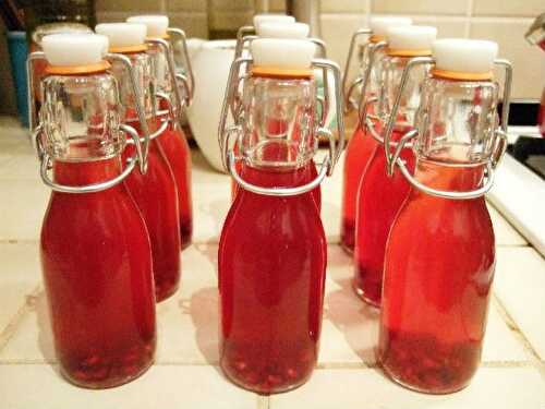 Pomegranate Vodka Recipe – Awesome Cuisine