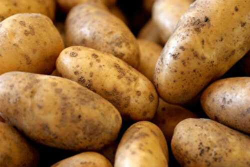 Potato Pulao Recipe – Awesome Cuisine