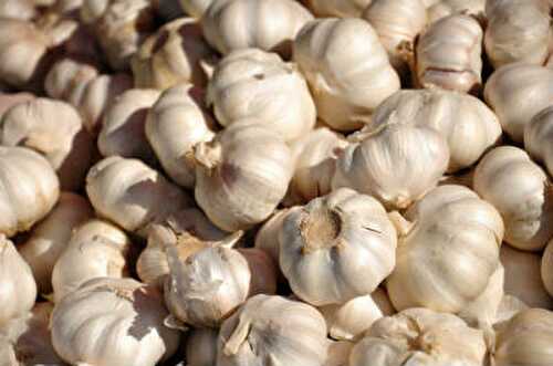 பூண்டு சட்னி - Garlic Chutney Recipe in Tamil