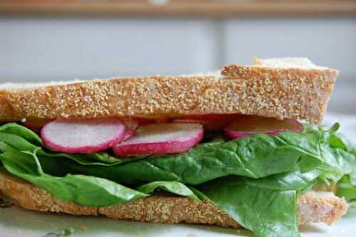 Radish Sandwich Recipe – Awesome Cuisine
