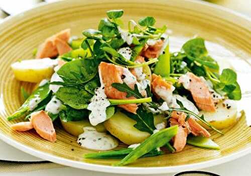 Salmon and Potato Salad Recipe – Awesome Cuisine
